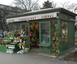 Virág, ajándék